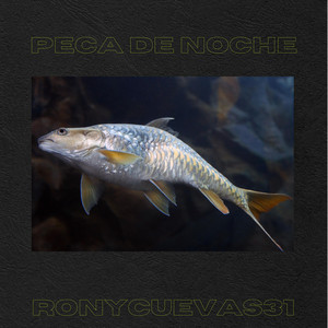 Pecao de Noche by ronycuevas31