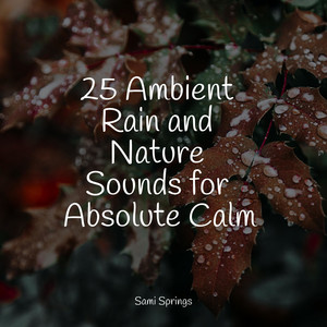 25 Ambient Rain and Nature Sounds for Absolute Calm album