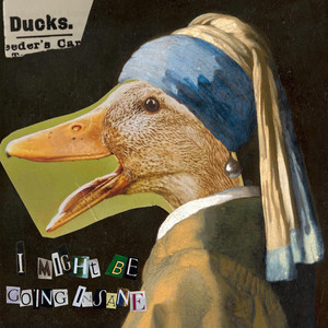 I might be going insane by The Running Ducks, Adar Alfandari