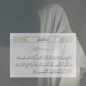عمر بن ضياء الدين Omar Bn DiaaAldeen - ما تيسر من سورة القصص - عمر بن ضياء الدين