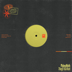 Things You Want by Flying Moth