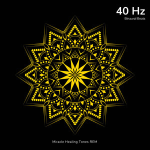 40 Hz - Concentration