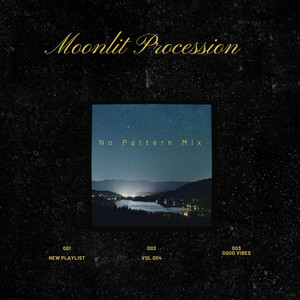 MOONLIT PROCESSION by No Pattern Mix