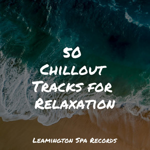 50 Chillout Tracks for Relaxation album