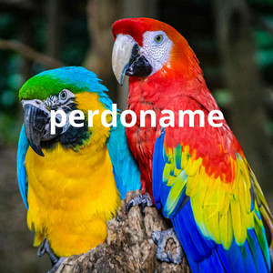 perdoname by Keibol DR