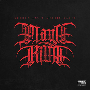 Playa Killa by Gordonitas, Metrik Vader