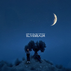 Olivenbaum  Musik und Lyrics von Adrian Aslani | Spotify