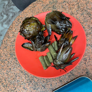 Enzina's Artichokes by Suleimani