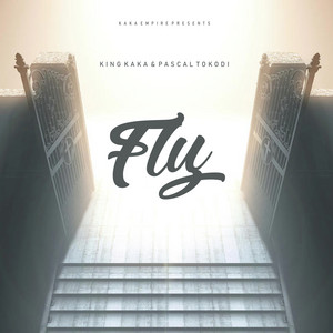 Fly