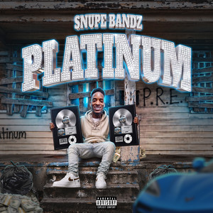 Platinum by SNUPE BANDZ