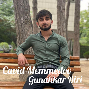 Cavid Memmedov - Gunahkar Biri
