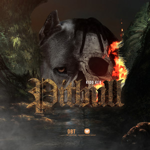 Pitbull by Kidd Keo