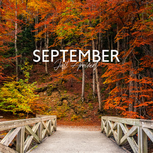 September Just Arrived: Soft and Calm Hang Drums for Peace of Mind & Stress-Free Daily Routine album