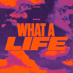 What a Life by B4RKIE, Curved