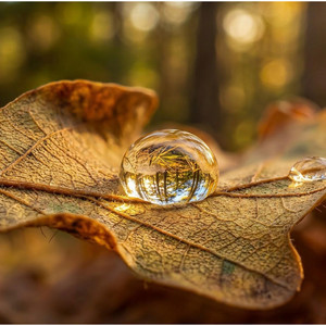 Calm Flow by Nina Celeste