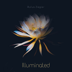 Illuminated by Rufus Ziegler
