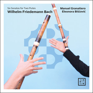 Bach: Duetto No. 5 for Two Flutes in E-Flat Major, F. 56: II. Largo