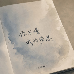 你不懂我的伤悲 by 庄辉辉