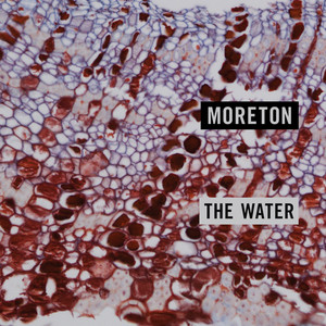 The Water by Moreton