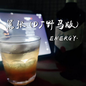 Energy - 嚣张 (Dj野马版)