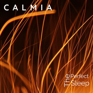 The Perfect Sleep