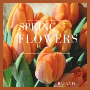 RAFAA4$ - Spring Flowers (Live)