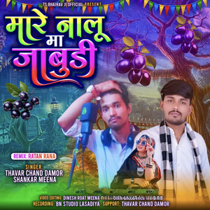 Mare Nalu Ma Jabudi by Thavar Chand Damor, Shankar Meena