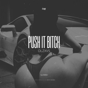 Push it Bitch (Slowed)