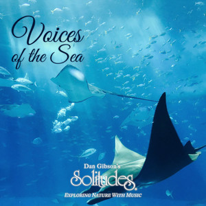 Chant of the Ocean by Dan Gibson's Solitudes