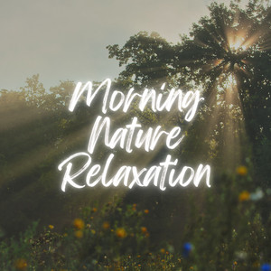 Morning Nature Relaxation album