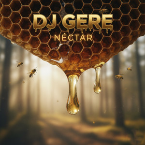 Stroll by DJ GERE