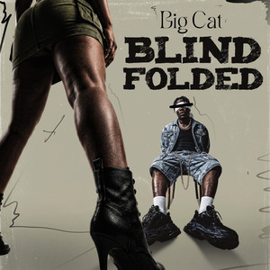 Blind Folded by Big Cat