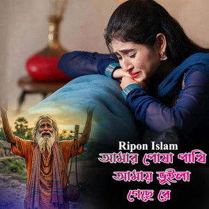 আমার পোষা পাখি আমায় ভুইলা গেছে রে