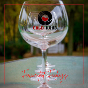 Fermented Feelings by Cold Wine