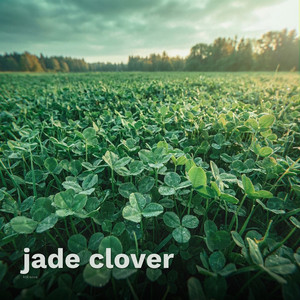 Jade Clover by Kol Sova
