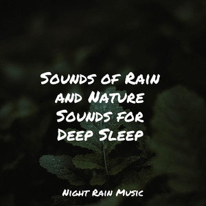 Sounds of Rain and Nature Sounds for Deep Sleep album