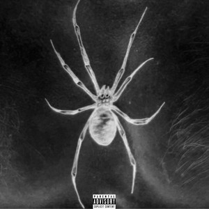 arachnid. by Bloody Kole