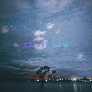 ESCAPE NOW by WACOW
