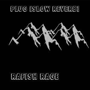Plug (Slow Reverb) by Rafish Rage
