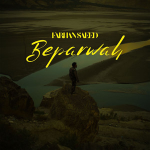 Farhan Saeed - Beparwah