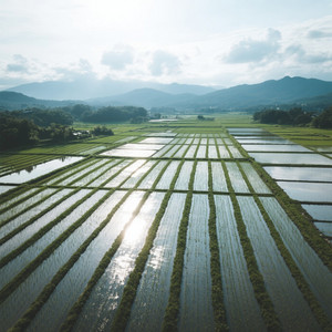 CASTELOON MONET MICHELLE - So more love