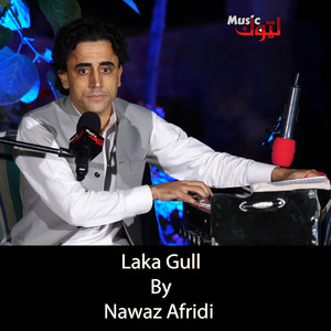Nawaz Afridi - Laka Gull
