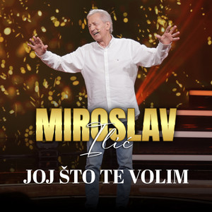 Joj sto te volim by Miroslav Ilic
