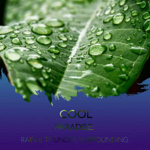 zZz Cool Paradise: Rain & Thunder Surrounding the Moors zZz album