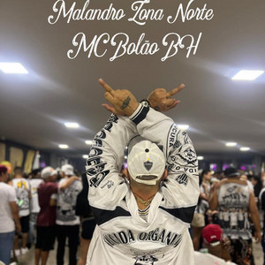 MALANDRO ZONA NORTE by Mc Bolão Bh