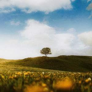 just like before by pete castle, KVI