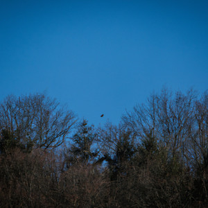 Trouver l'equilibre by Hugo Valette