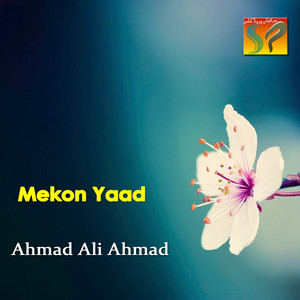 Ahmad Ali Ahmad - Mekun Na Bhul Si