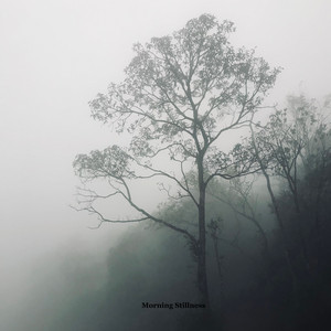 Morning Stillness by David Airvi