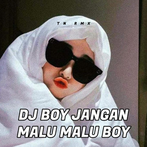 TN RMX - DJ BOY JANGAN MALU MALU BOY (FYP 2026)